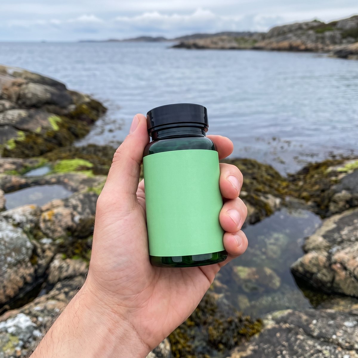 Glasburk med Great Earth Kelp i handen på en svensk västkustklippa vid havet