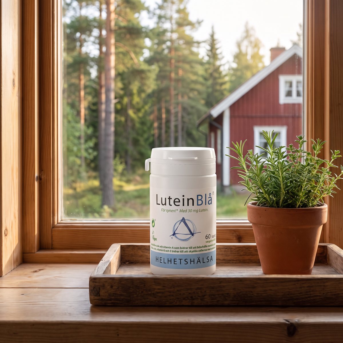 Vit burk Helhetshälsa LuteinBlå på ett fönsterbröd i ett svenskt kök med utsikt mot tallskog och rött trähus