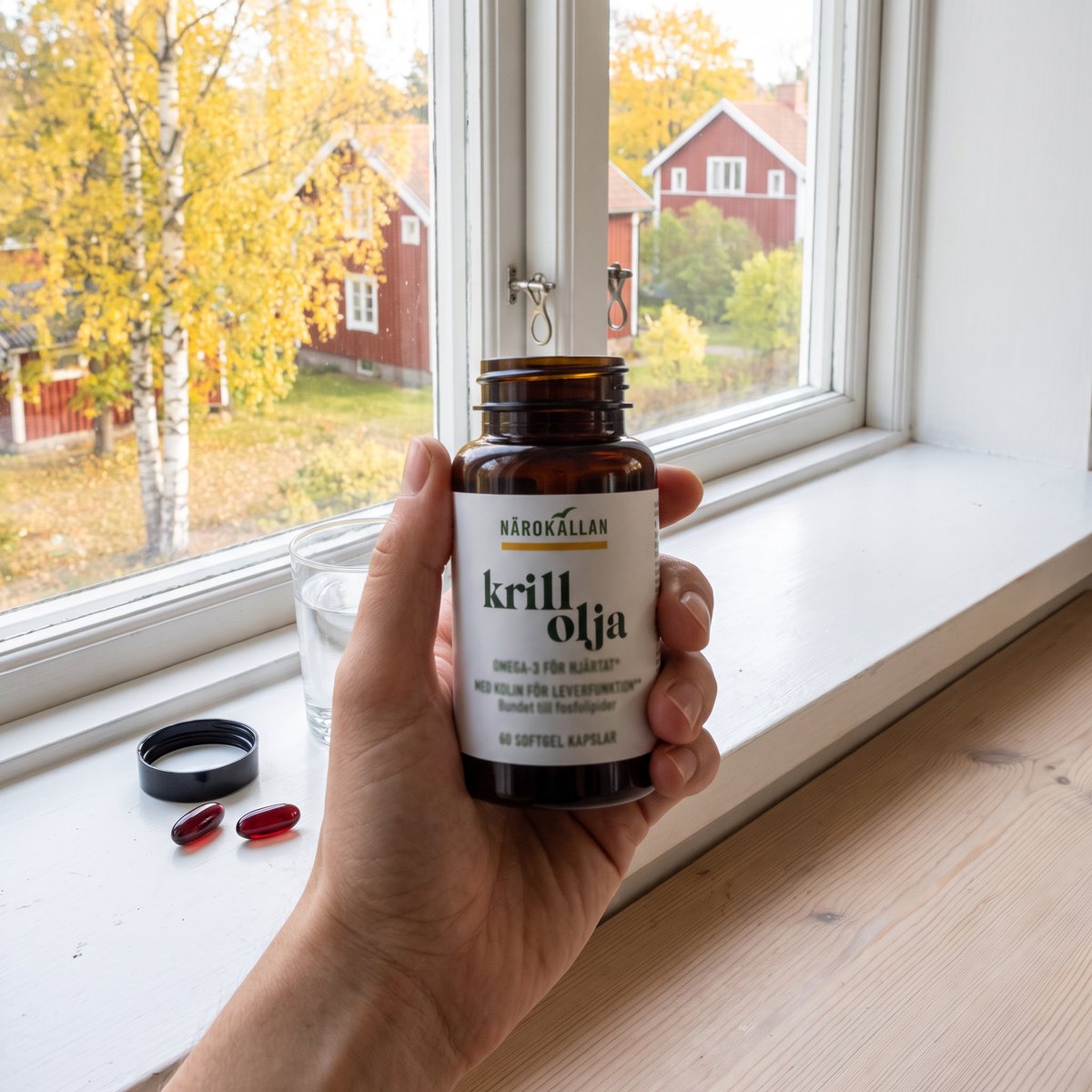 Hand som håller en öppnad burk Närokällan Krillolja vid ett vitt fönsterbräde med två kapslar och ett glas vatten, höstgula björkar och röda trähus utanför