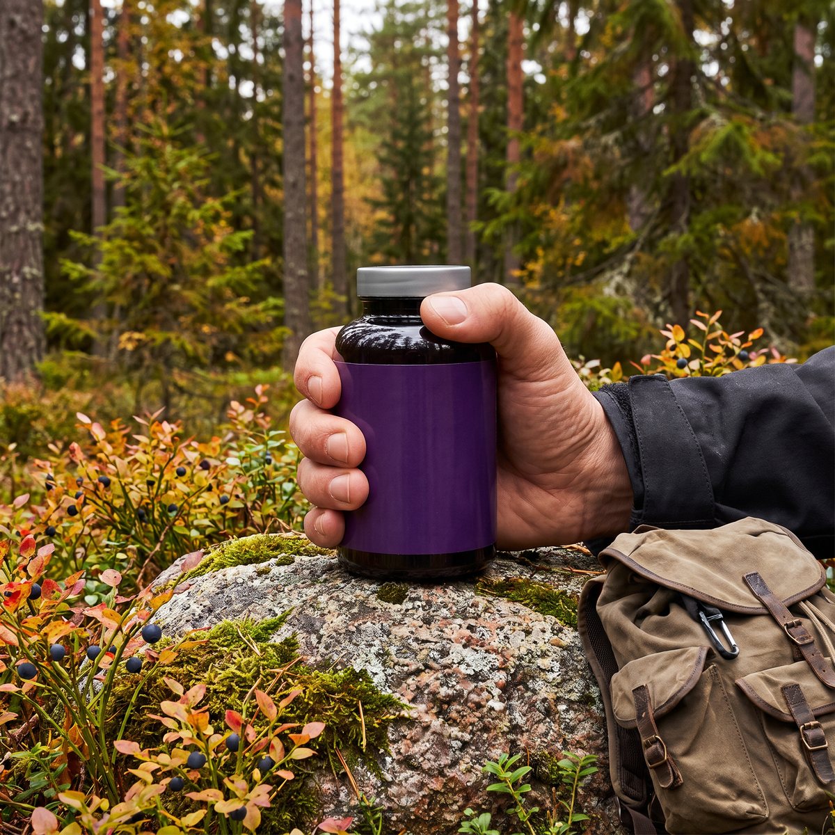 Mörklila burk med grått lock hållen av en hand på en mossig granitsten i svensk tall- och granskog med blåbärsris