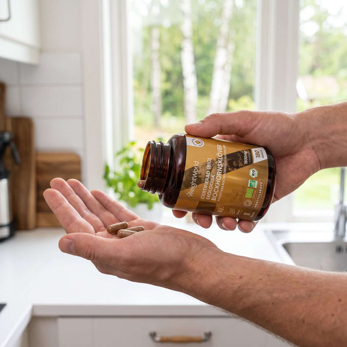 WeightWorld Ekologisk Bockhornsklöver, kapslar hälls i handen i ett svenskt kök med björkar utanför fönstret