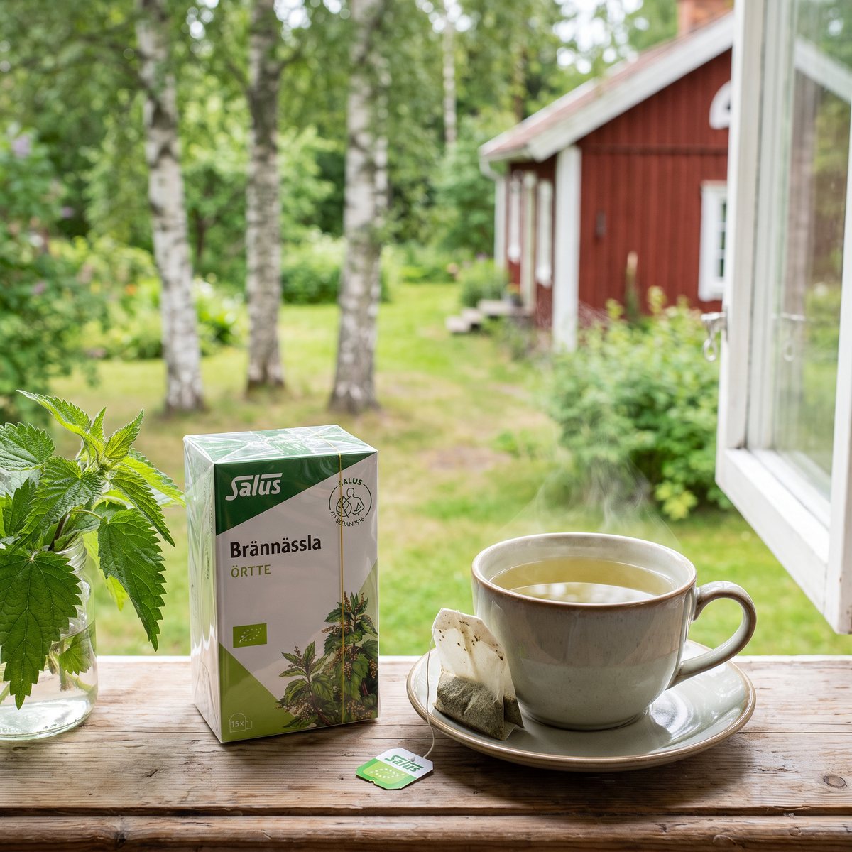 Salus Brännässla-te vid ett fönster med en kopp te i ett svenskt hem