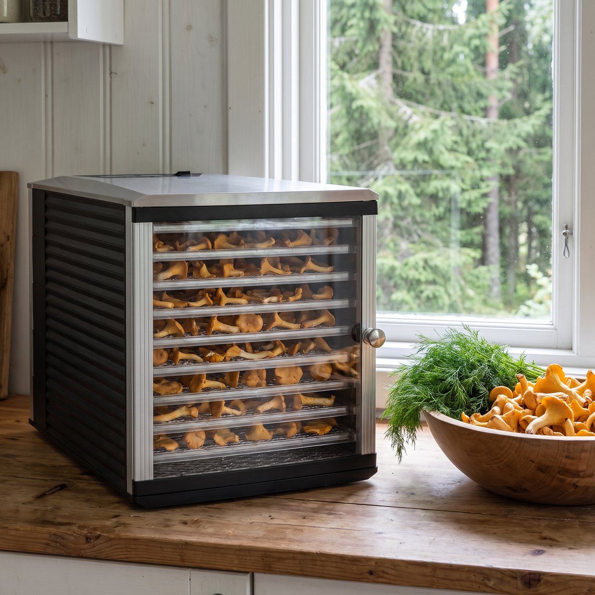 Graef DA510 dehydrator i rostfritt stål med glasdörr och tio brickor, fylld med skivad svamp i ett svenskt stugkök