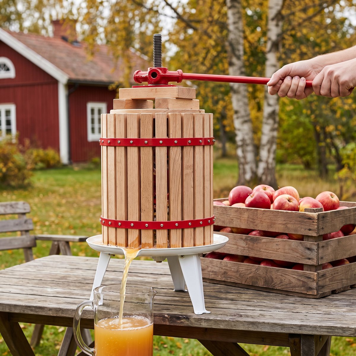 Grouw Saftpress av ek med röda band och spak, pressar äpplen på ett trädgårdsbord vid ett rött svenskt trähus