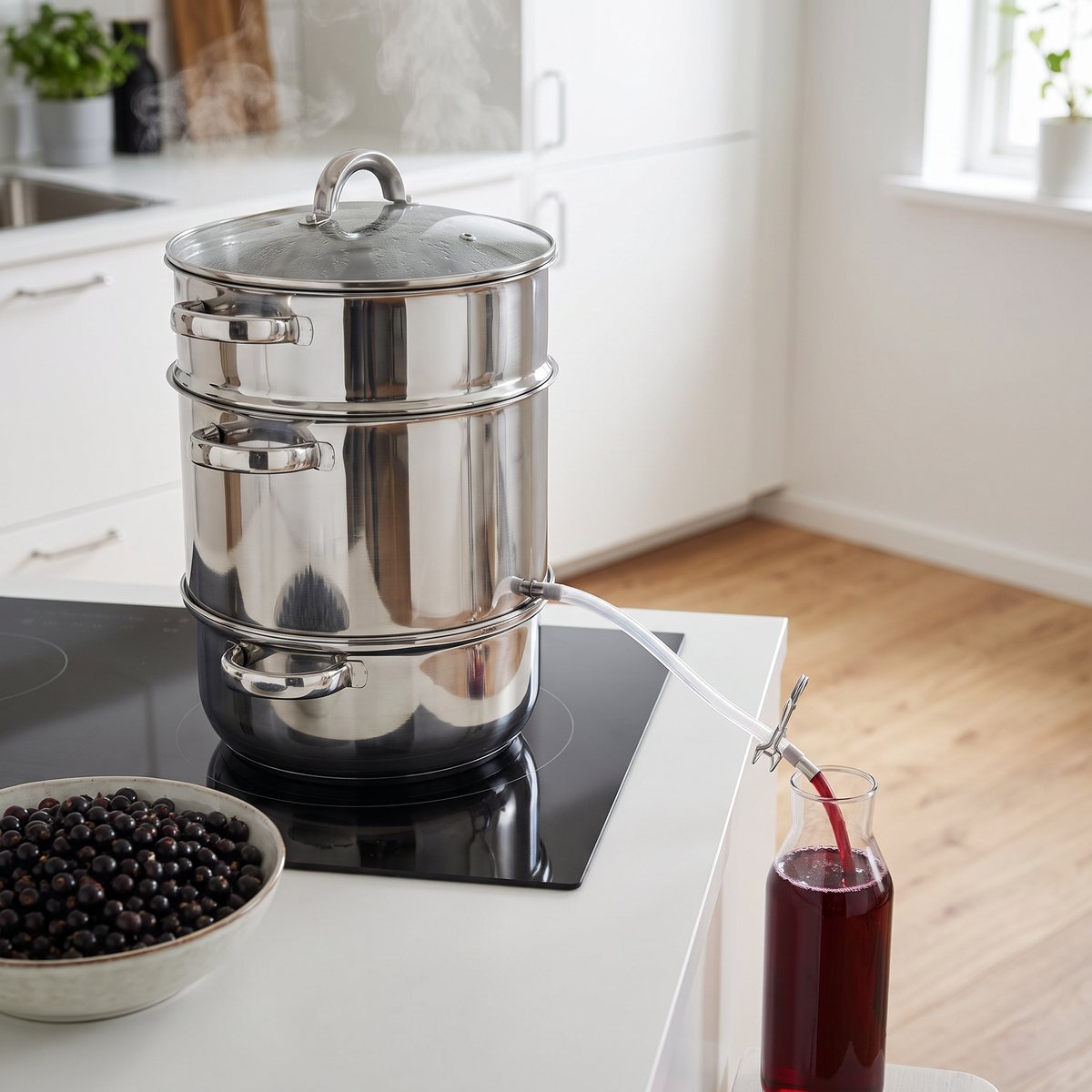 Rostfri ångsaftkokare på en induktionshäll i ett ljust svenskt kök med en skål svarta vinbär intill