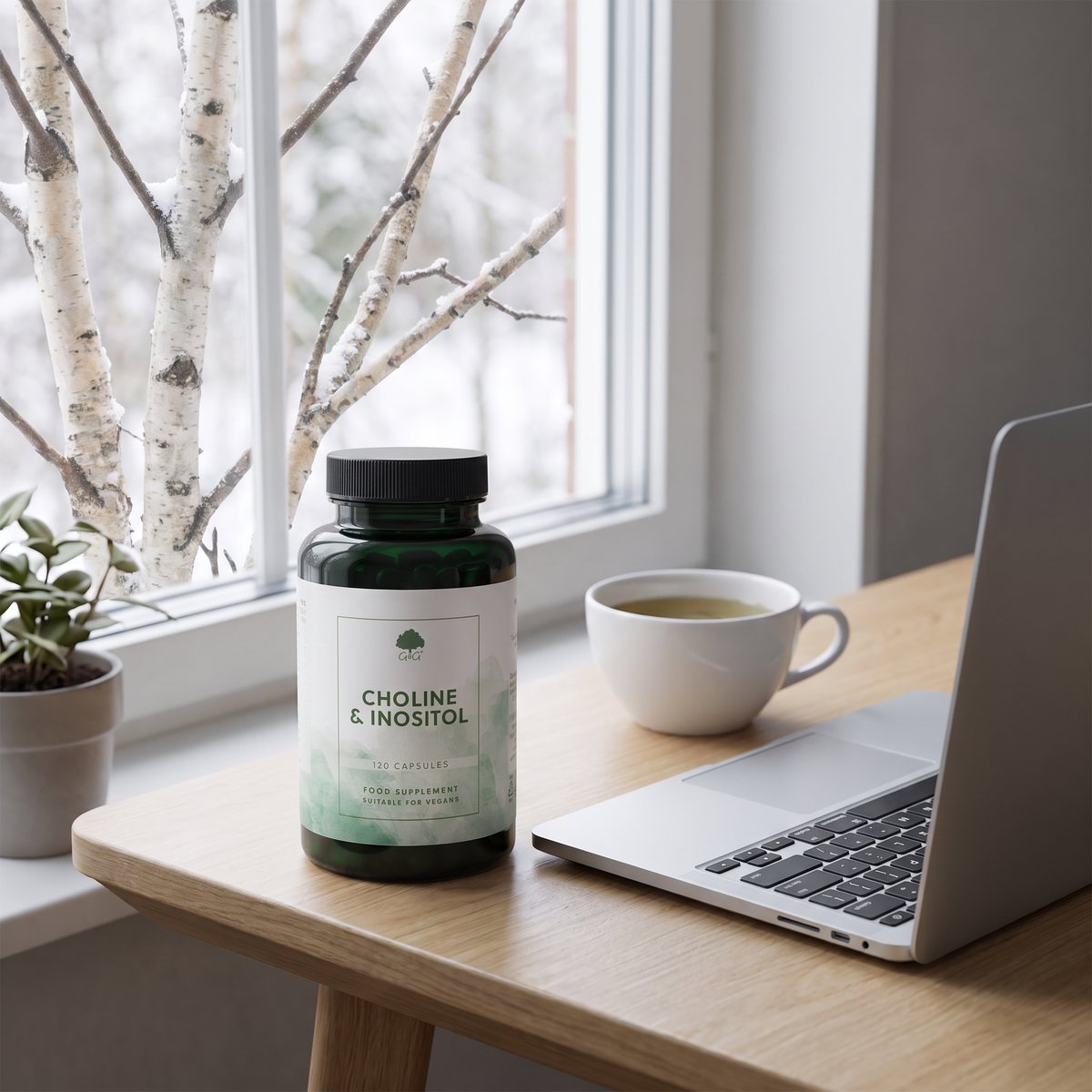 G&G Vitamins Choline & Inositol på ett skrivbord i ett svenskt hemmakontor en vinterdag med björkar utanför fönstret