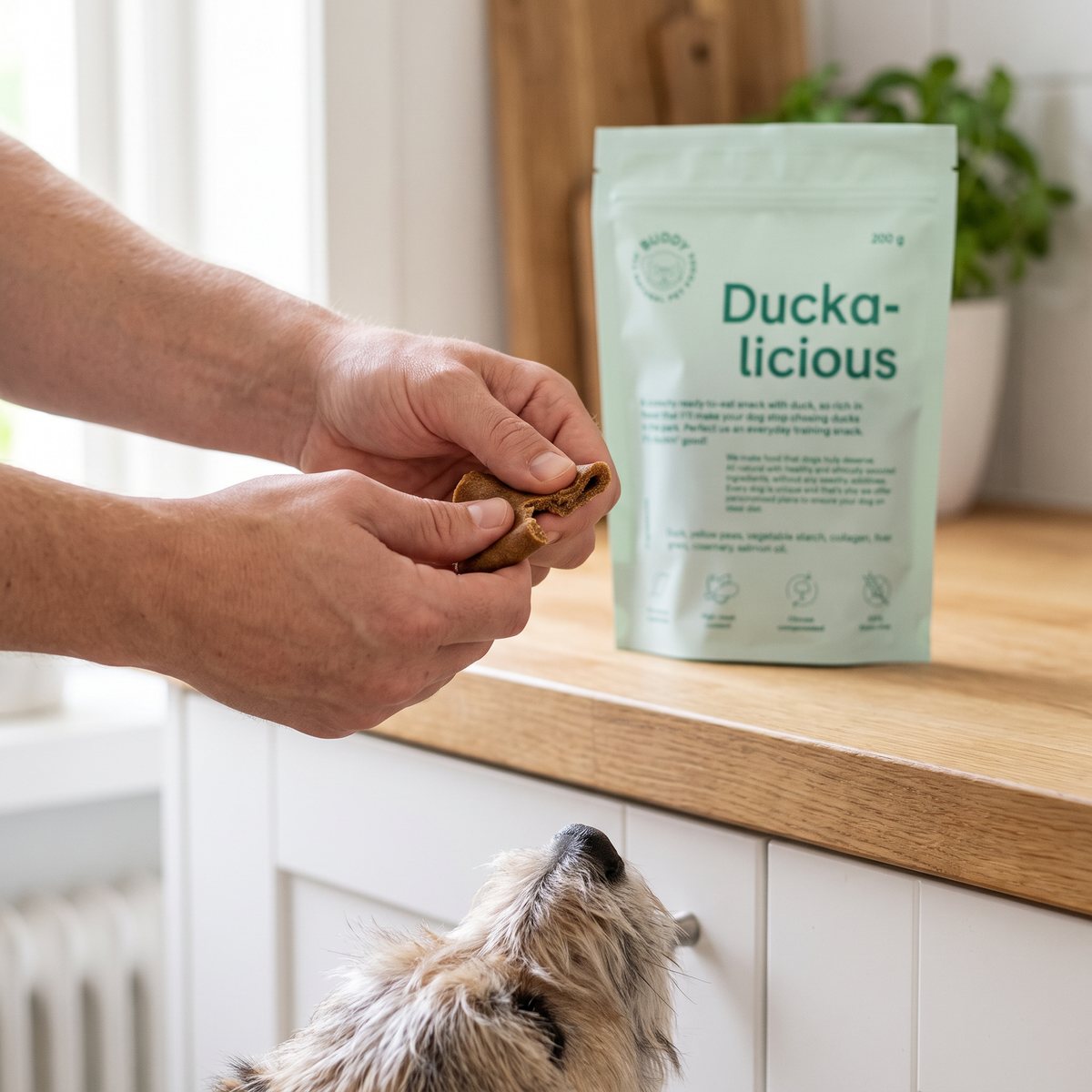 Händer som nyper itu en mjuk ankbit från Buddy Petfoods Duckalicious åt en liten hund i ett ljust svenskt kök med ekbänkskiva