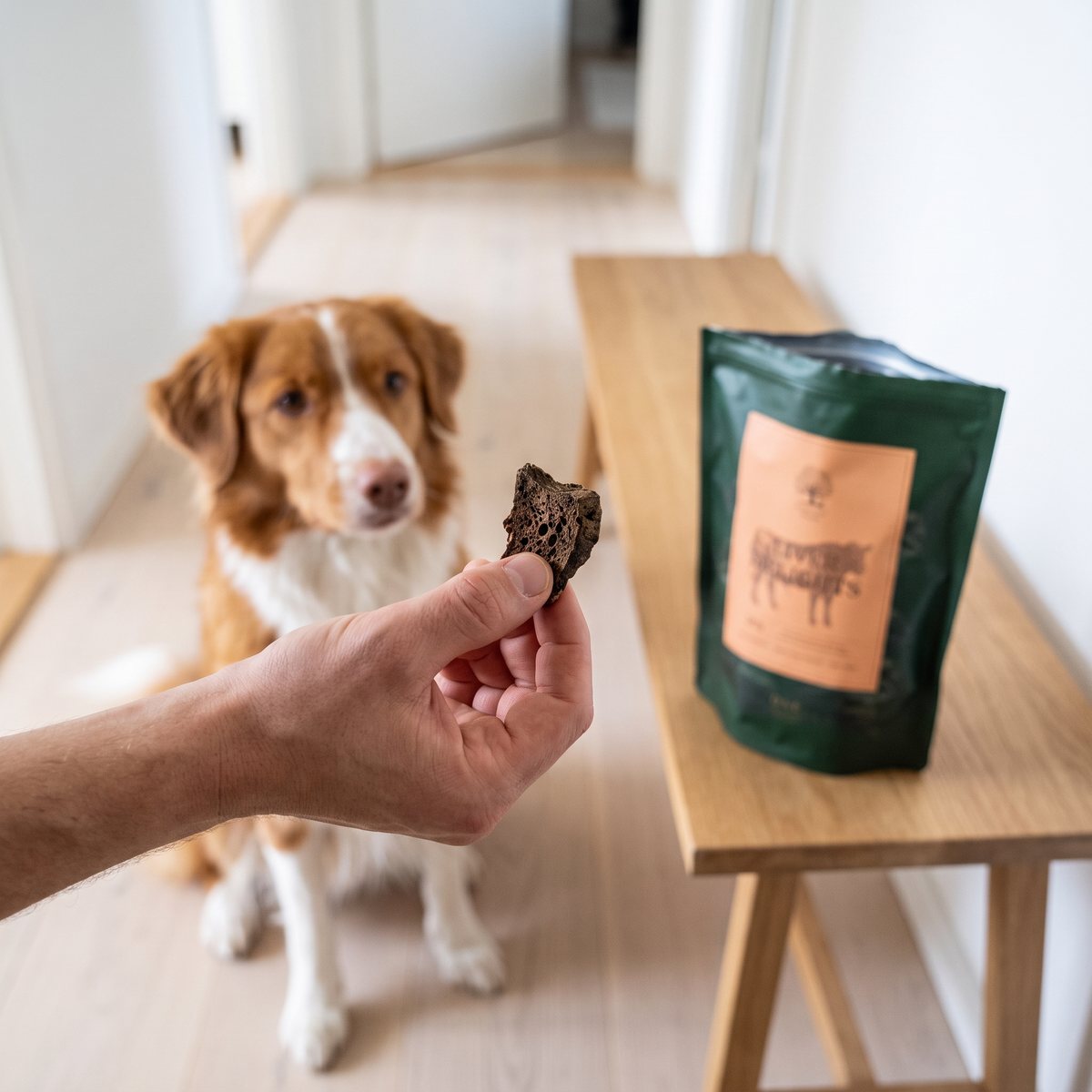 Hand som håller fram en bit torkad oxlever till en hund i en ljus svensk hall, med den gröna påsen Essential Foods Liver Delights på en träbänk