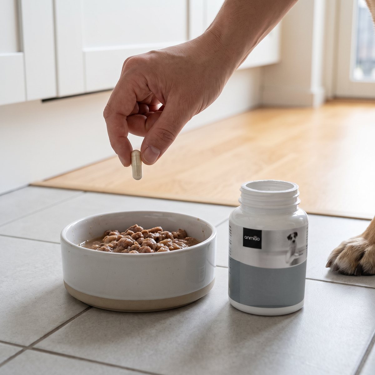 En kapsel Animigo Probiotika för hund hålls över en hundskål med blött foder på ett klinkergolv i ett ljust kök, med burken bredvid