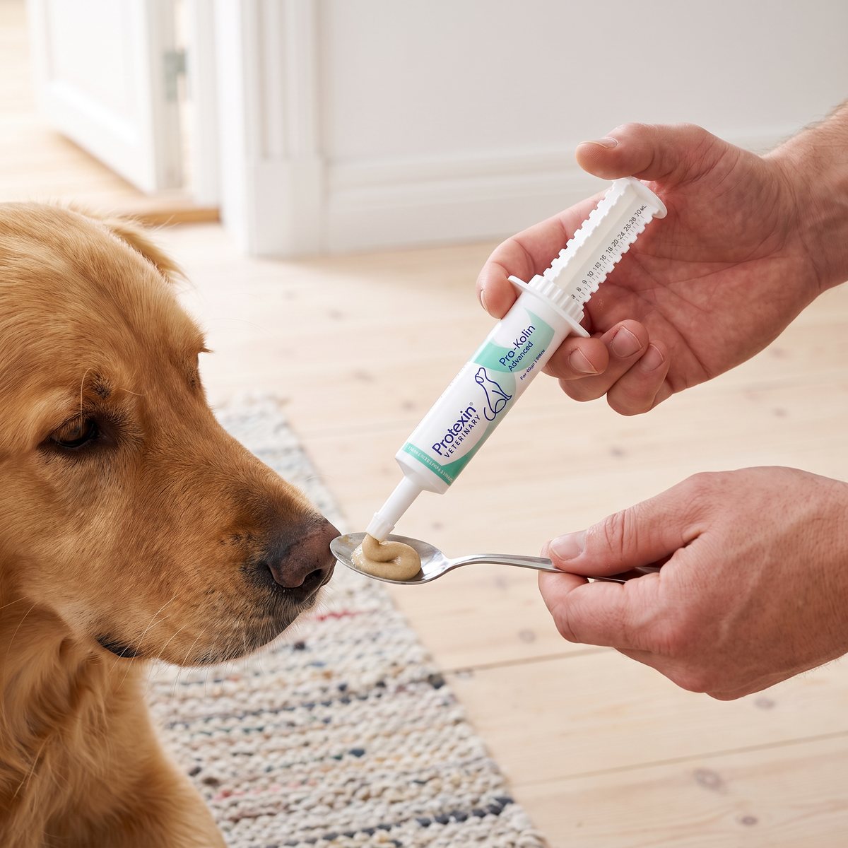 Protexin Pro-Kolin Advanced trycks ur doseringssprutan på en tesked framför en golden retriever på ett ljust trägolv med trasmatta