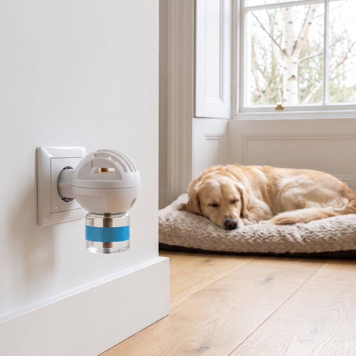 Adaptil Calm Home doftavgivare i ett vägguttag i ett ljust svenskt vardagsrum med en sovande golden retriever i bakgrunden