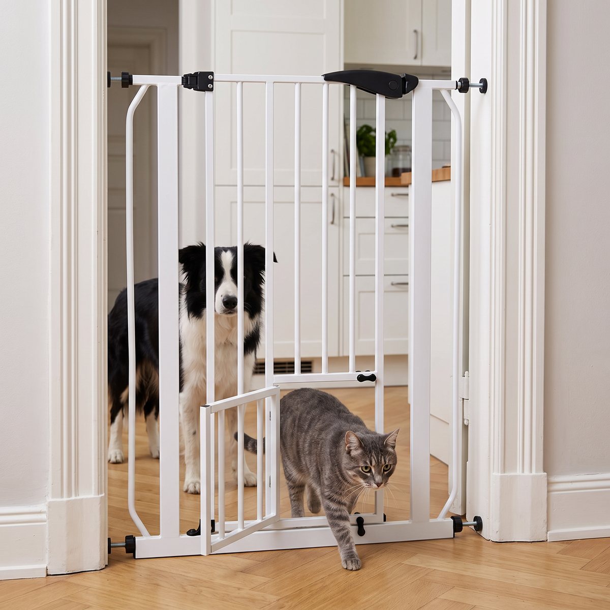 Vit hög hundgrind med kattlucka i en innerdörr mellan hall och kök, en katt går genom luckan medan en border collie står bakom grinden