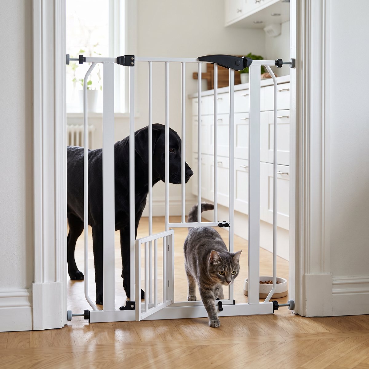 Vit Ferplast hundgrind monterad i en dörröppning mot ett ljust svenskt kök, med en svart labrador bakom grinden och en katt som går genom kattluckan