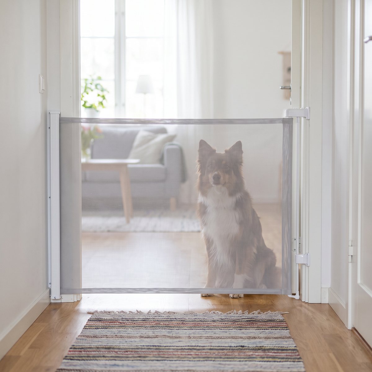 Ljusgrå Trixie rullbarriär utdragen över en dörröppning mellan hall och vardagsrum i ett svenskt hem, med en hund som sitter bakom nätet