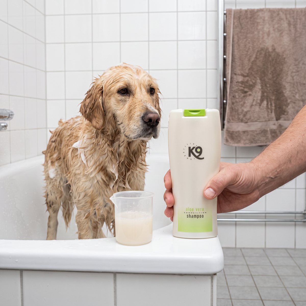 En blöt golden retriever i ett vitkaklat badkar, med K9 Competition Aloe Vera-flaskan och en mugg utspätt schampo på badkarskanten
