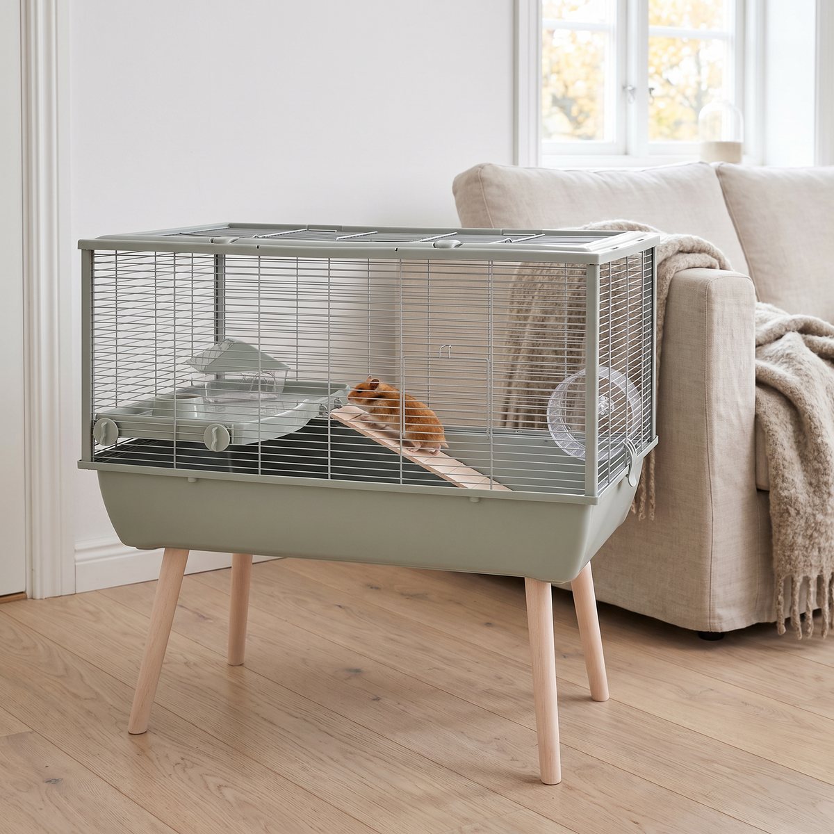 Zolux Neolife 80 i grönt på egna träben i ett svenskt vardagsrum, guldhamster klättrar på trästegen