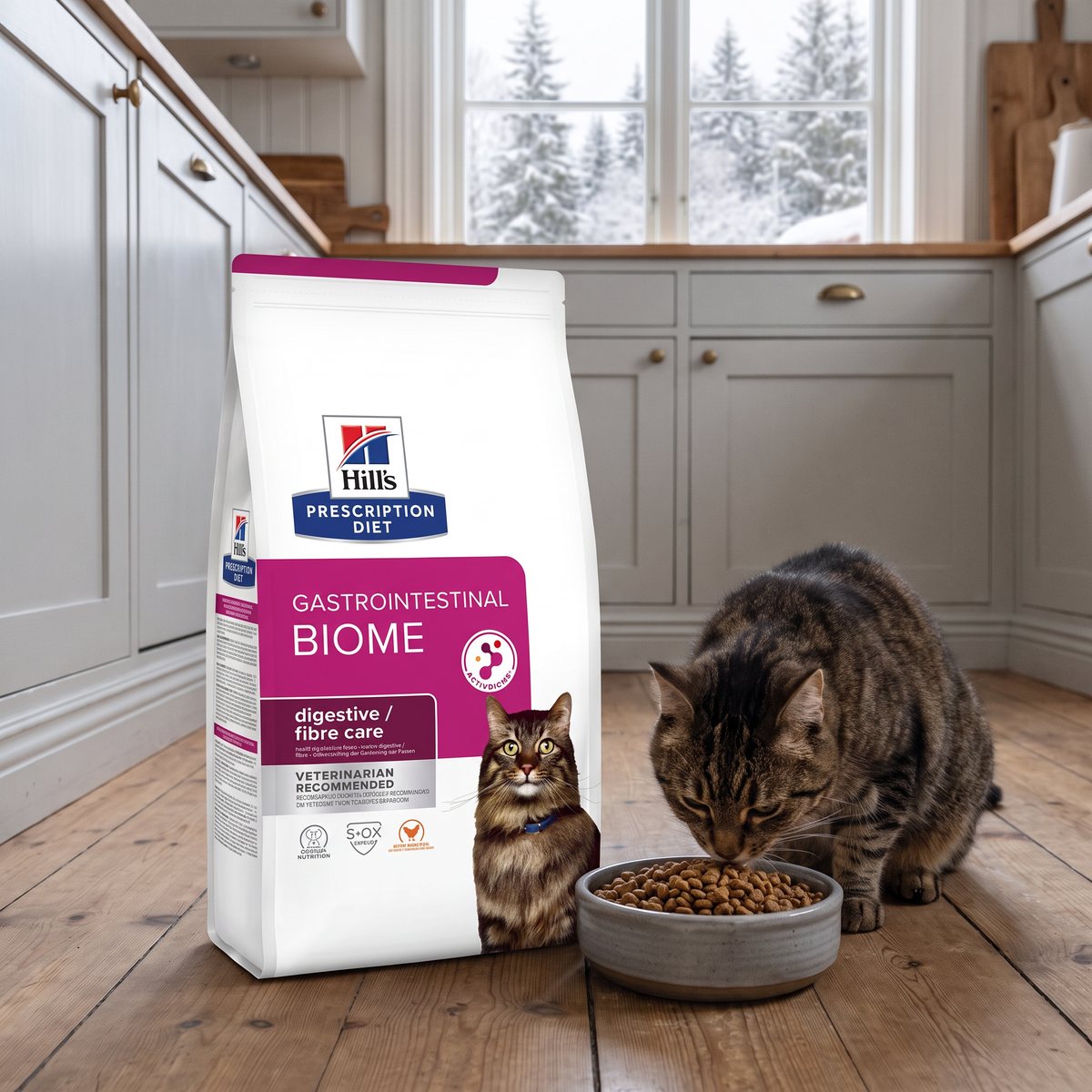 Hill's Prescription Diet Gastrointestinal Biome-påse bredvid en tigrerad katt som äter torrfoder på ett trägolv i ett svenskt kök med snöig granskog utanför