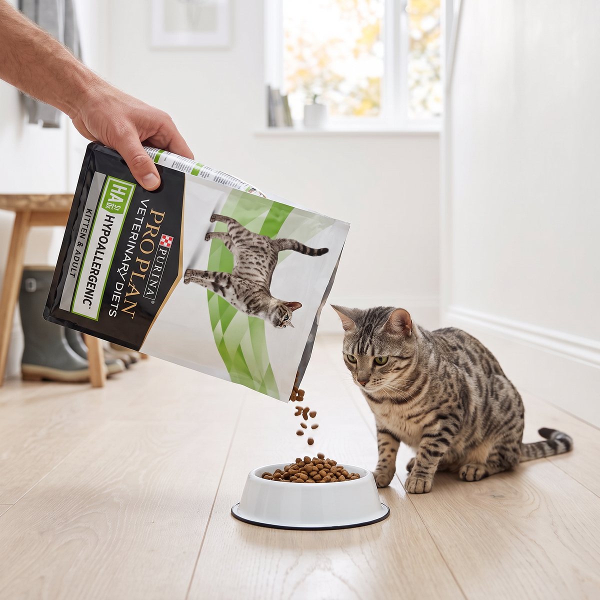 En hand häller Purina Pro Plan Veterinary Diets HA St/Ox i en matskål medan en tigrerad katt väntar i en ljus svensk hall