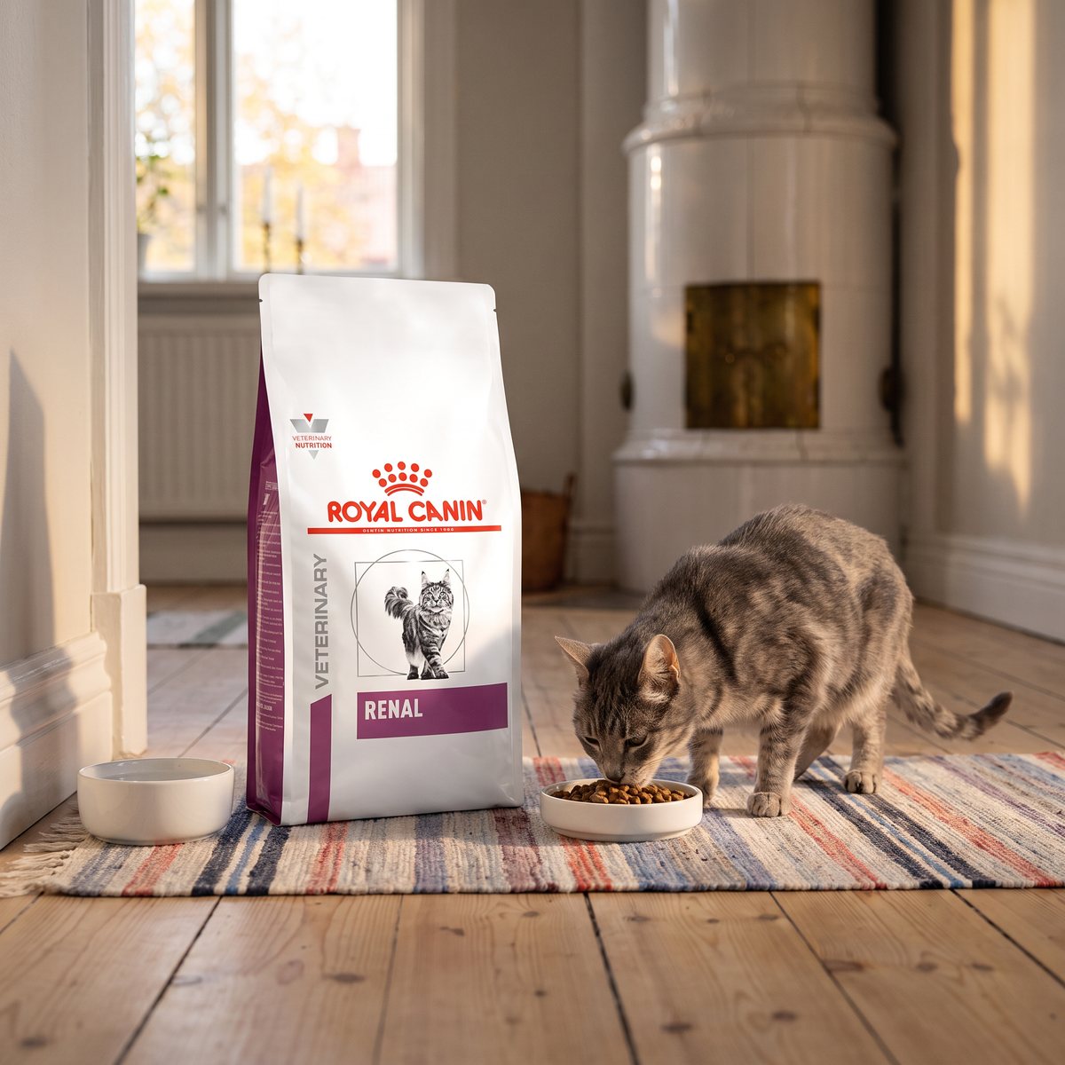 Royal Canin Renal-påse bredvid en äldre grå katt som äter ur en skål på en trasmatta i en svensk lägenhet med kakelugn