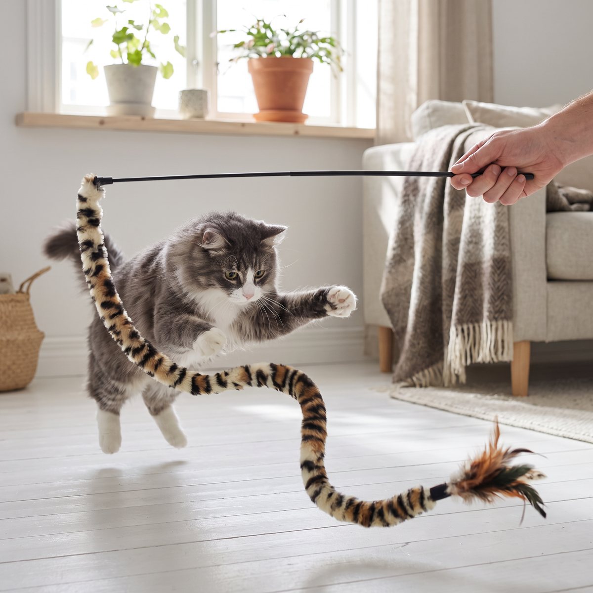 Grå katt som hoppar efter en leopardmönstrad plyschorm på ett kattspö i ett svenskt vardagsrum