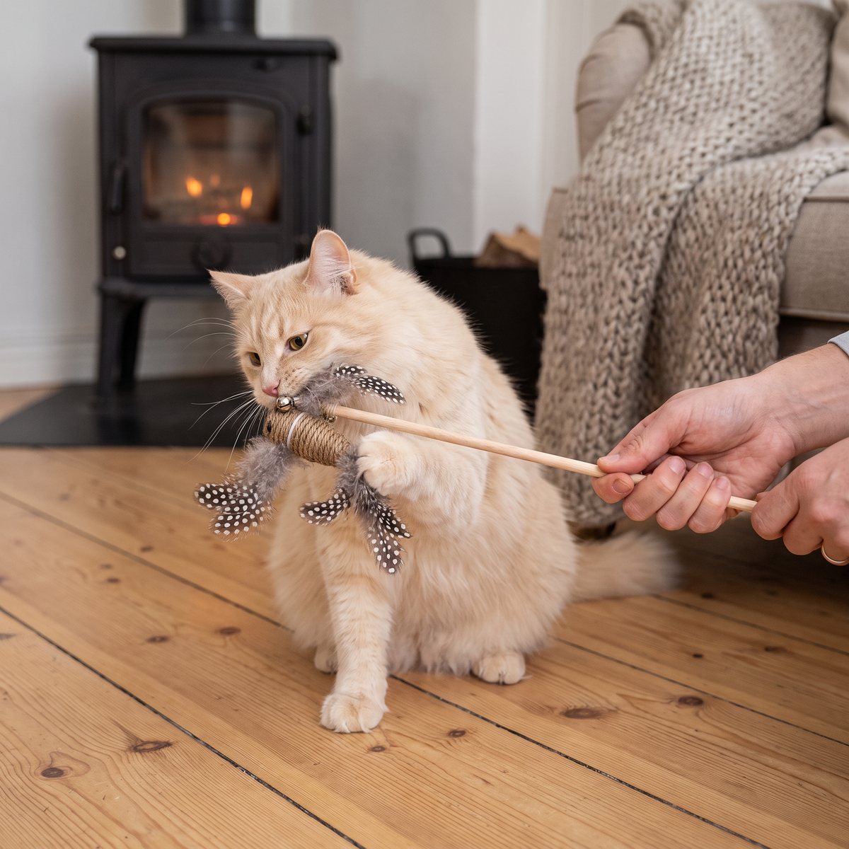 Ljus katt som leker med en sisalfågel på ett kattspö i trä i ett svenskt hem med kamin