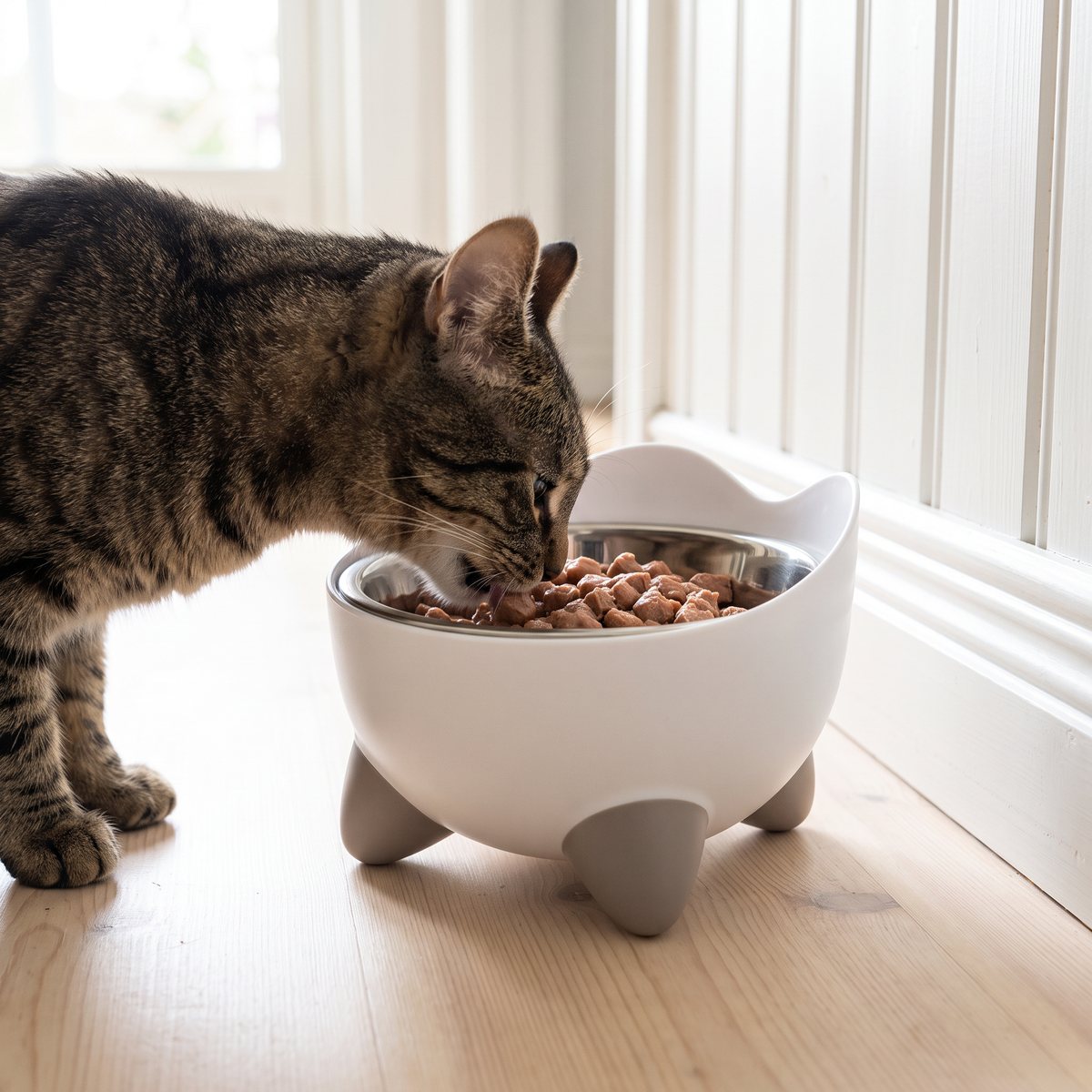 Vit förhöjd Catit Pixi-skål med stålskål och grå ben, en strimmig katt äter våtfoder ur den i en svensk hall