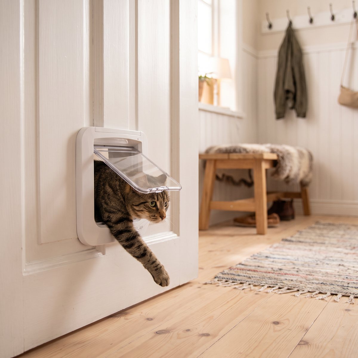 SureFlap Microchip Cat Flap monterad i en vit innerdörr i en svensk hall med en katt på väg igenom