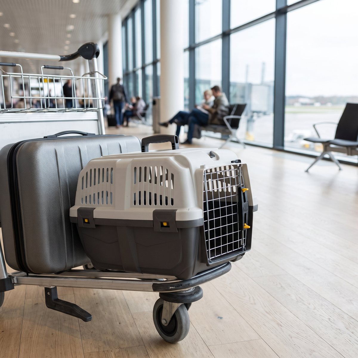 Transportbur Skudo 2 IATA på en bagagevagn i en ljus flygplatsterminal