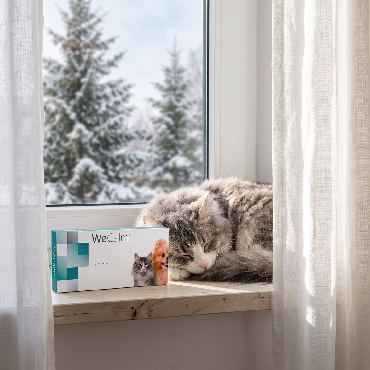 Wecalm-förpackning på ett fönsterbröd i ett svenskt hem med snöiga granar utanför, och en långhårig katt som sover intill.