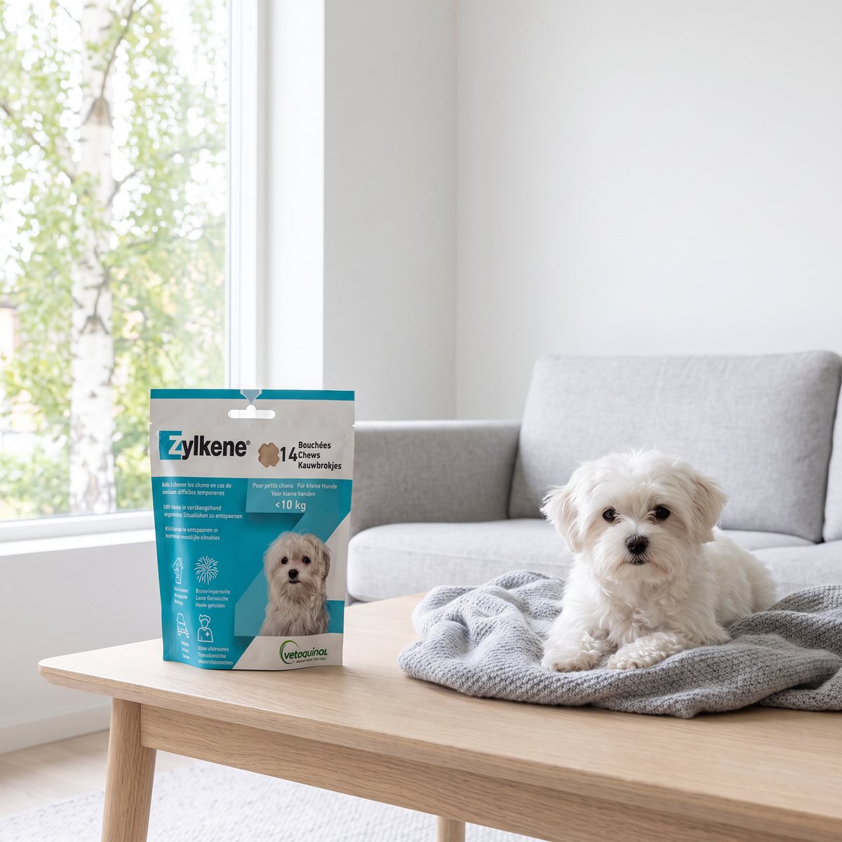 Zylkene Chews i en påse på ett soffbord i ett ljust svenskt vardagsrum, med en liten vit hund som vilar på en filt intill.