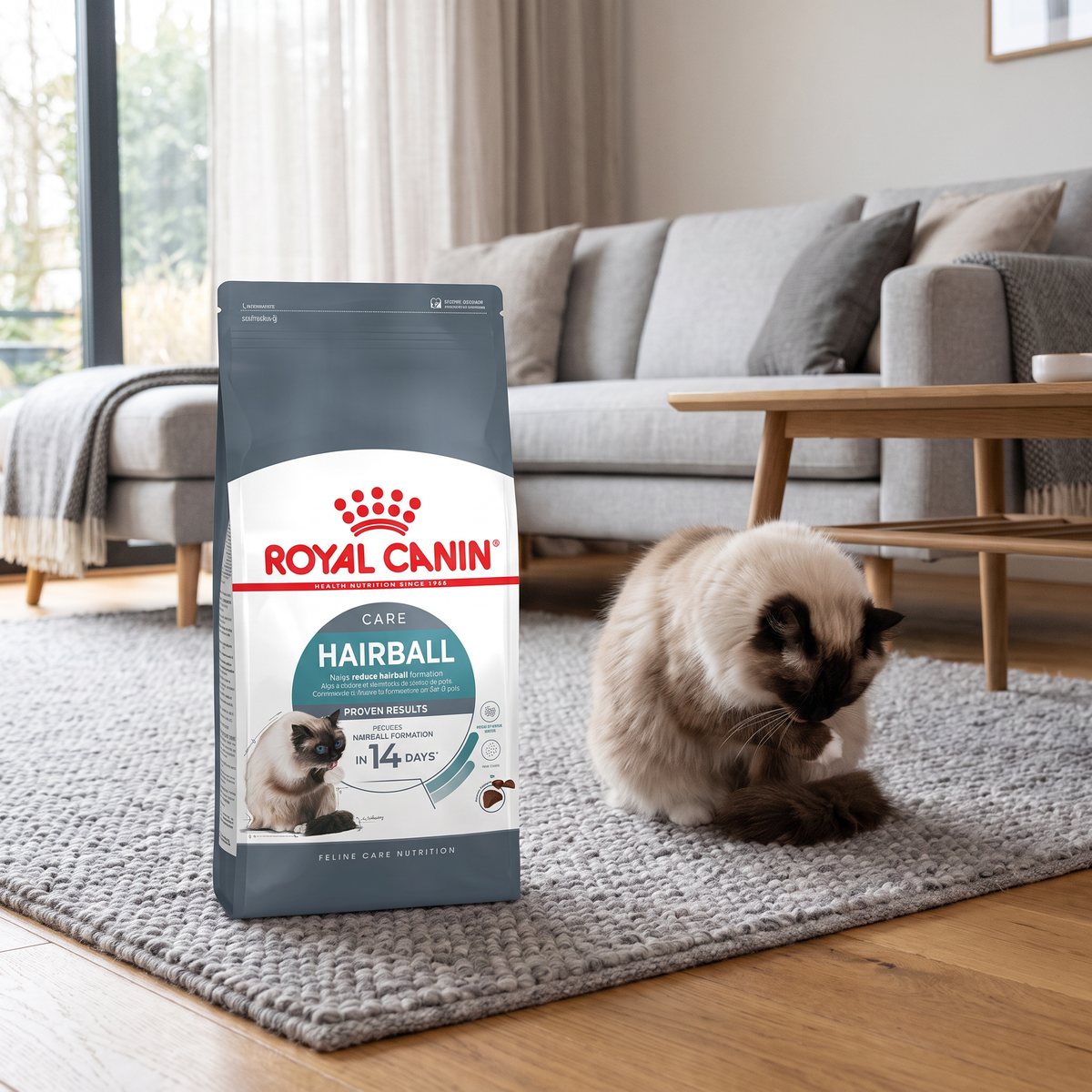 Säck Royal Canin Hairball Care på en grå ullmatta vid en ljus soffa i ett svenskt vardagsrum, med en långhårig katt som tvättar sig
