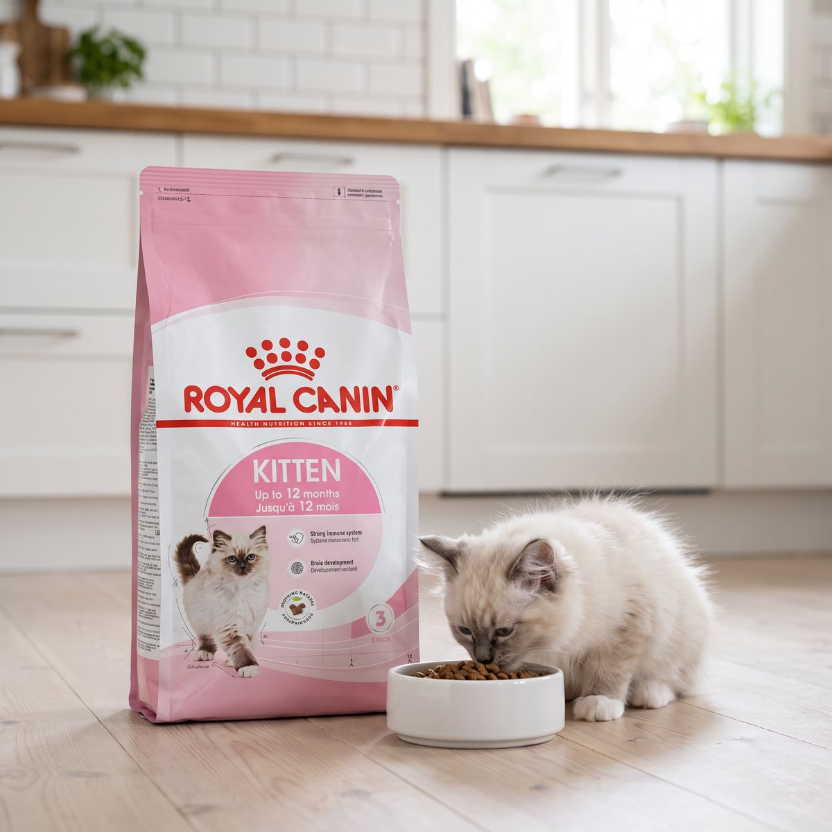 Säck Royal Canin Kitten i ett svenskt kök med vita luckor, där en kattunge äter ur en låg skål