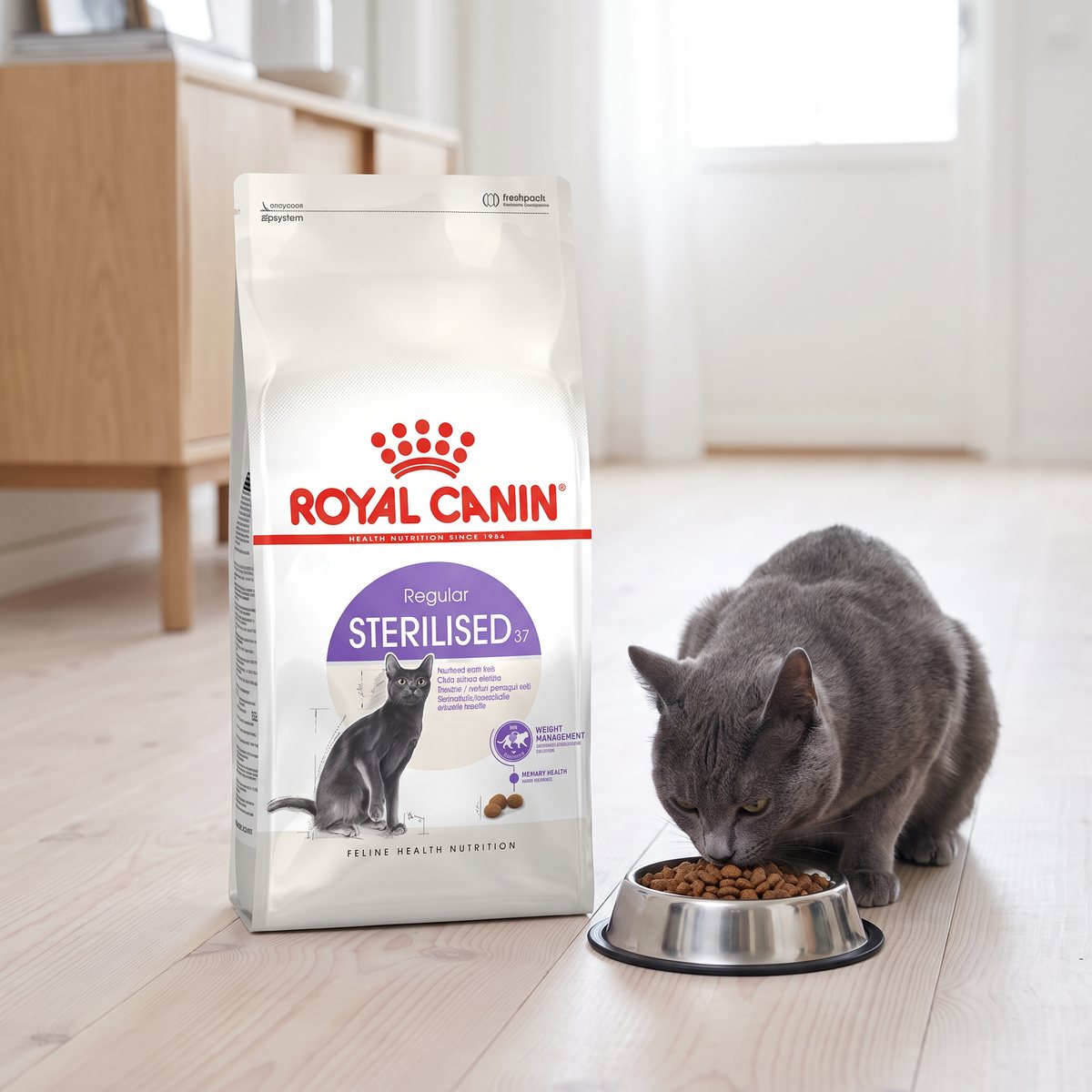 Säck Royal Canin Sterilised 37 i en ljus svensk hall med trägolv, där en grå korthårig katt äter ur en stålskål