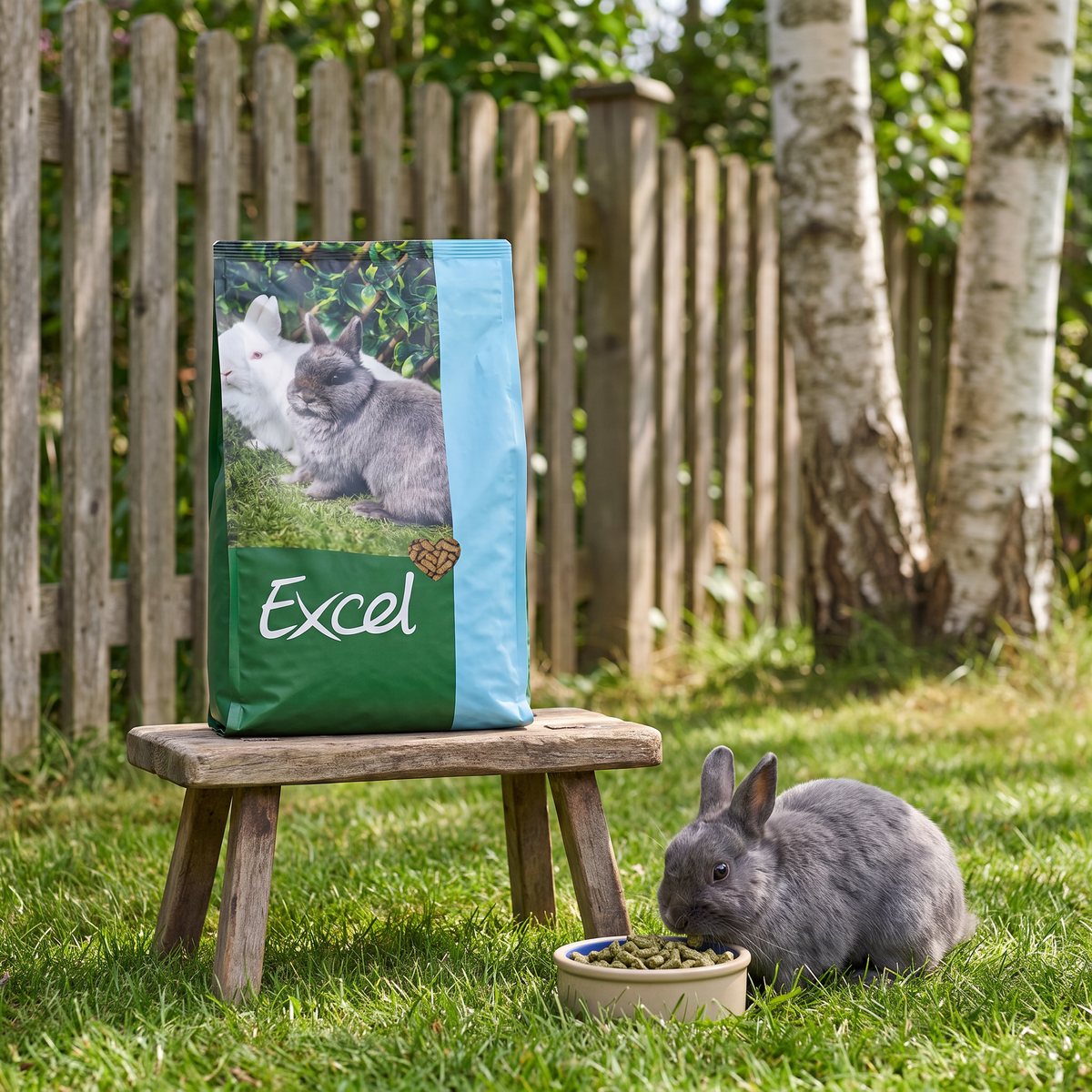 Burgess Excel Junior & Dwarf Rabbit-påse på en pall i en svensk trädgård med björkar, en liten grå dvärgkanin äter nuggets ur en skål i gräset
