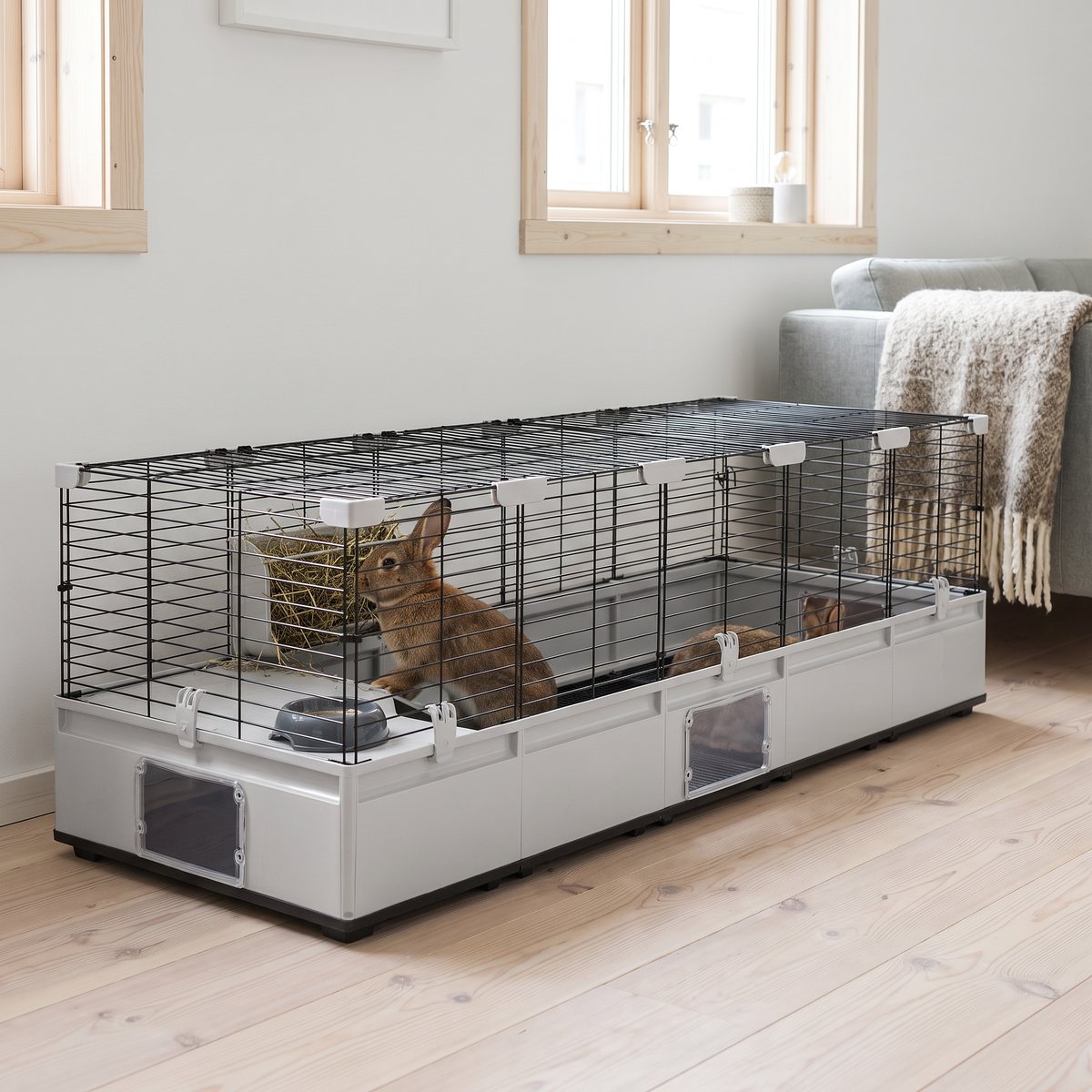 Ferplast Modular 4 kaninbur i ett ljust svenskt vardagsrum med furugolv och en kanin som äter hö