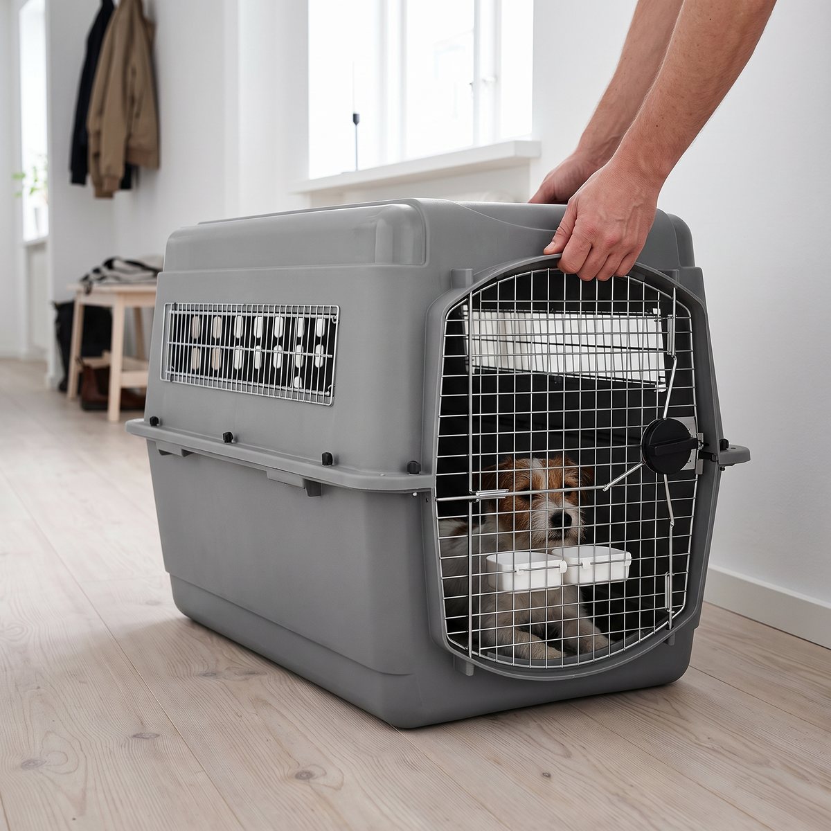 Grå Petmate Sky Kennel med en liten hund i en ljus svensk hall med trägolv