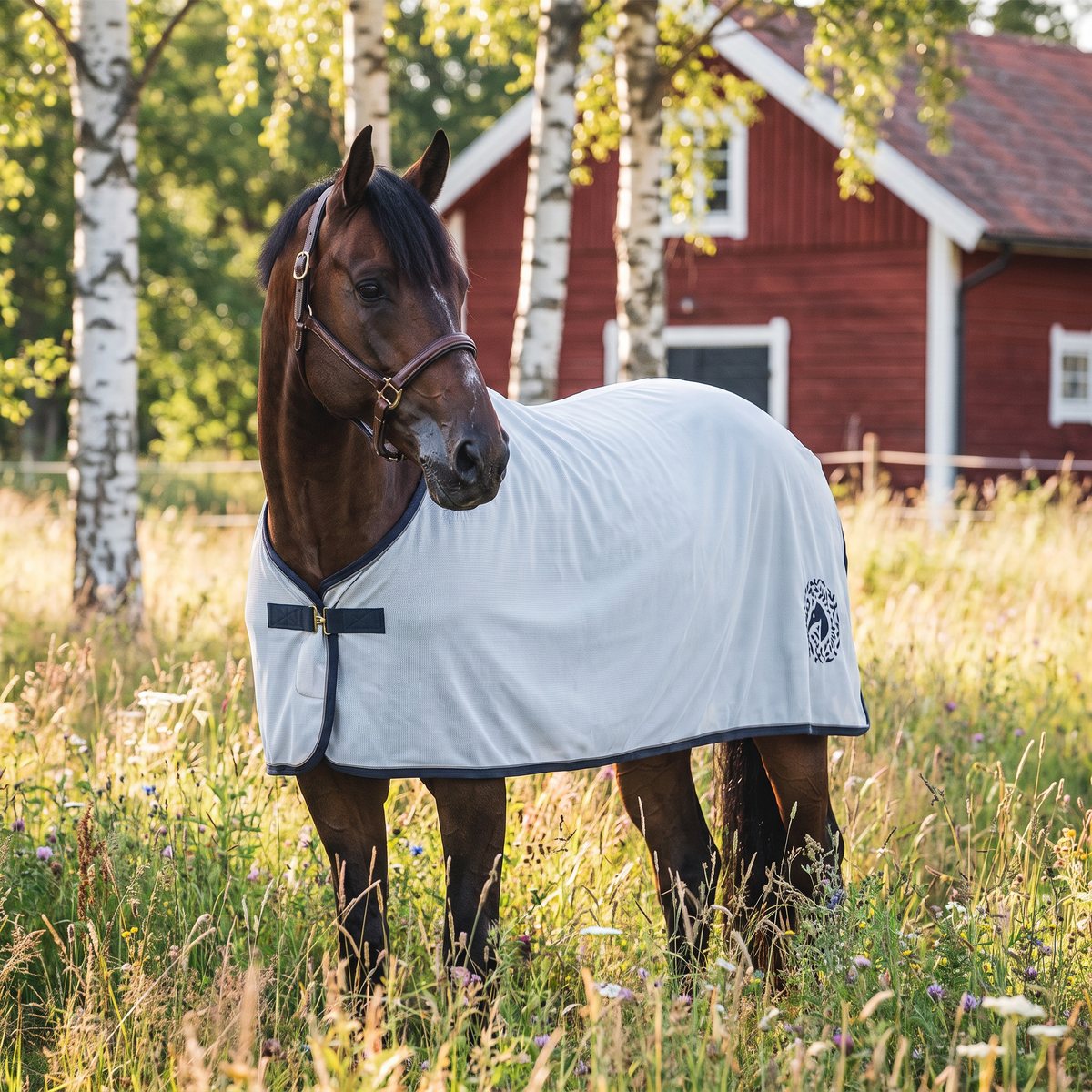 Ljust meshtäcke med mörkblå kant på en brun häst i en blommande svensk sommaräng framför ett rött stall