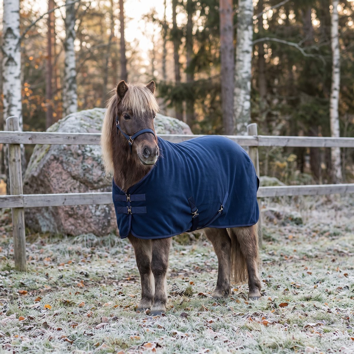 Marinblått fleecetäcke på en ponny i en frostig svensk hage med björkar och stenblock