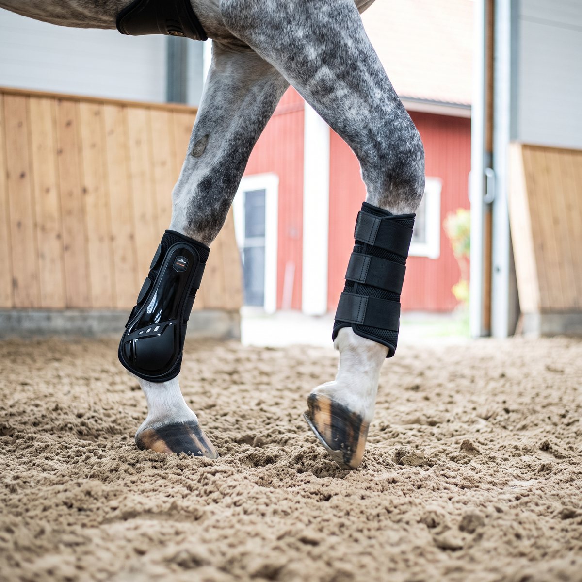Svarta Schockemöhle Sports Air Flow-damasker på frambenen hos en apelgrå häst i trav i ett svenskt ridhus med träsarg och röd stallbyggnad utanför.