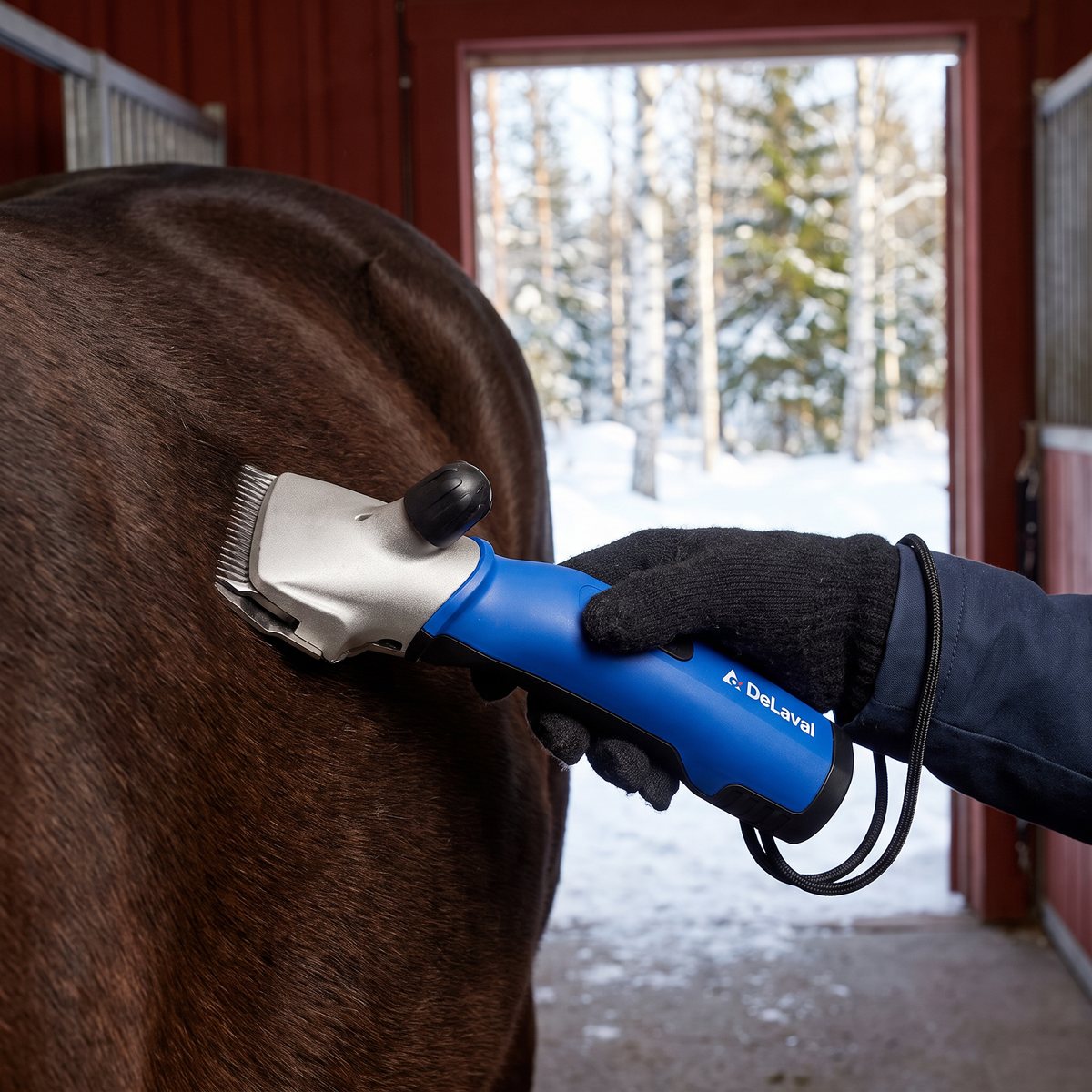DeLaval R2 klipper flanken på en mörkbrun häst i ett svenskt stall med snöig skog utanför