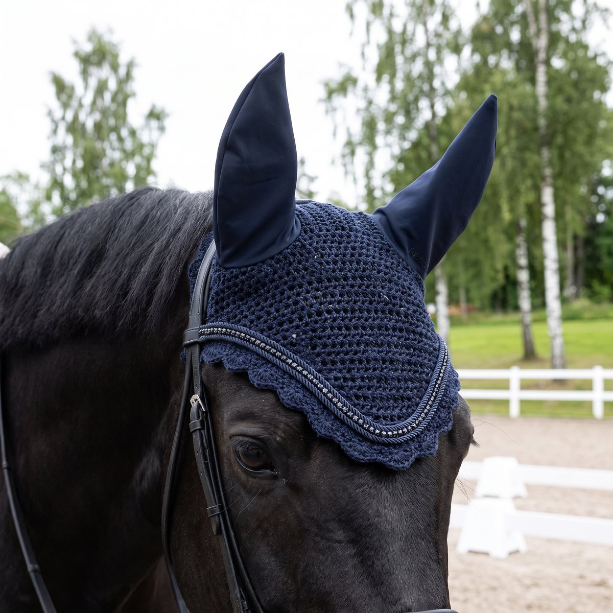 Marinblå virkad flughuva med kristallkant på en svart häst vid en svensk dressyrtävling utomhus med björkar