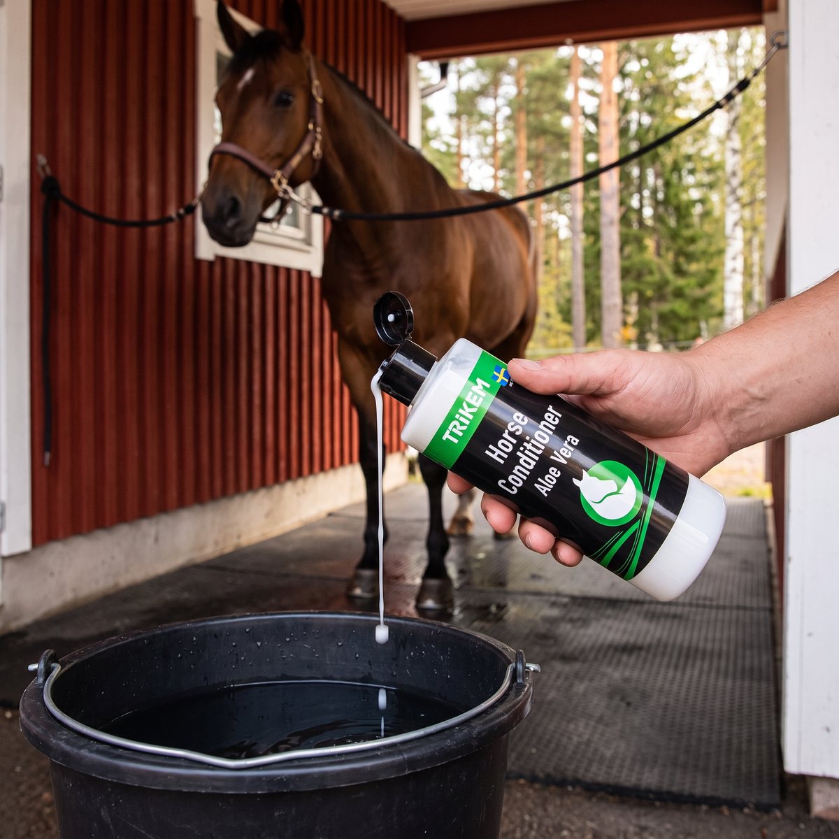 Balsamflaska med aloe vera hälls i en hink bredvid en brun häst vid ett rött svenskt stall