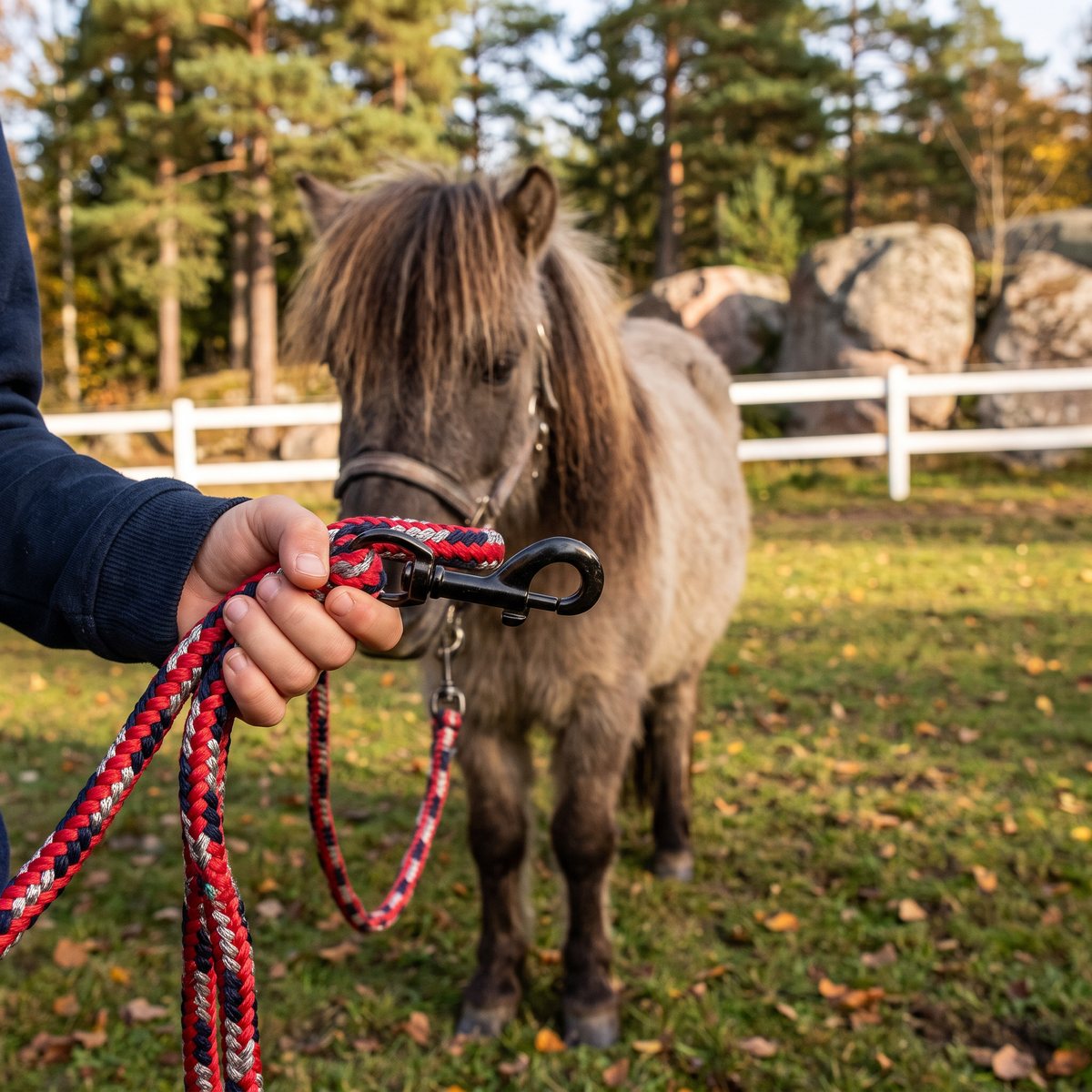 Rött och marinblått flätat grimskaft hålls av en barnhand vid en ponny i en hage med vitt staket och tallar