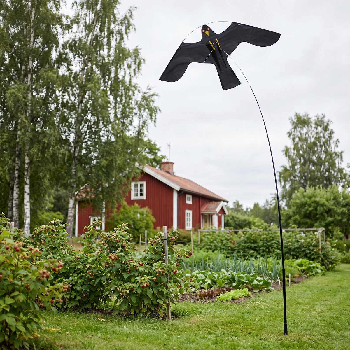Svart fågelskrämma formad som en duvhök på en böjd teleskopstång ovanför hallonbuskar och odlingsland i en svensk trädgård med rött trähus