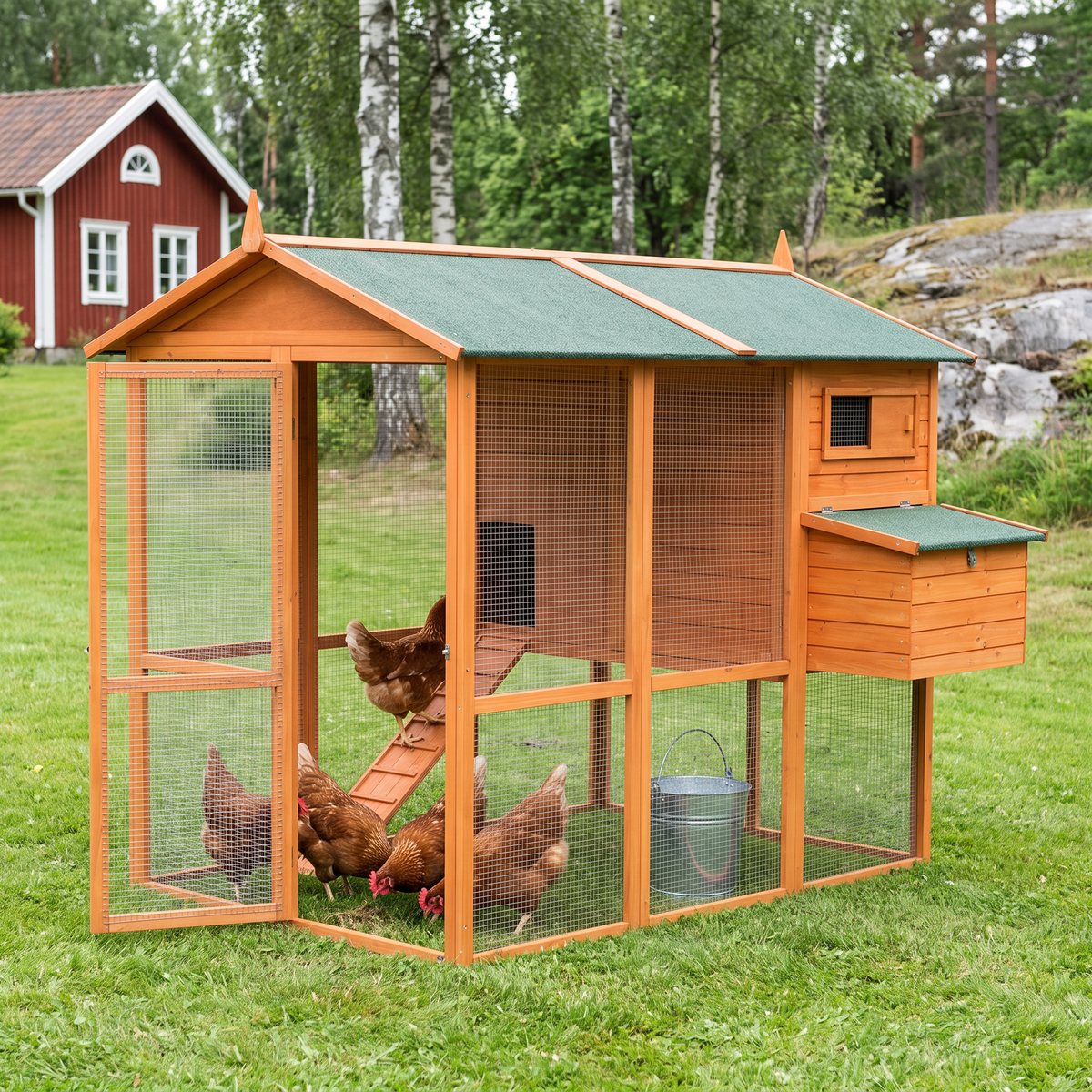Lyfcos hönshus med hönsgård i furu med grönt papptak, hönor som krafsar i gräset i gården och en på rampen, en röd stuga och björkar bakom