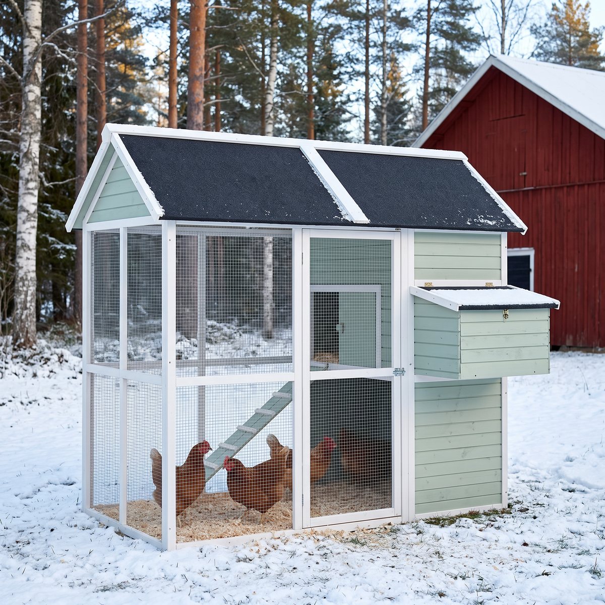 Willab Hönshus Rakel i ljusgrönt trä med svart tak, bruna hönor på kutterspån i den nätinklädda utegården, snö på marken och en röd lada och tallar bakom