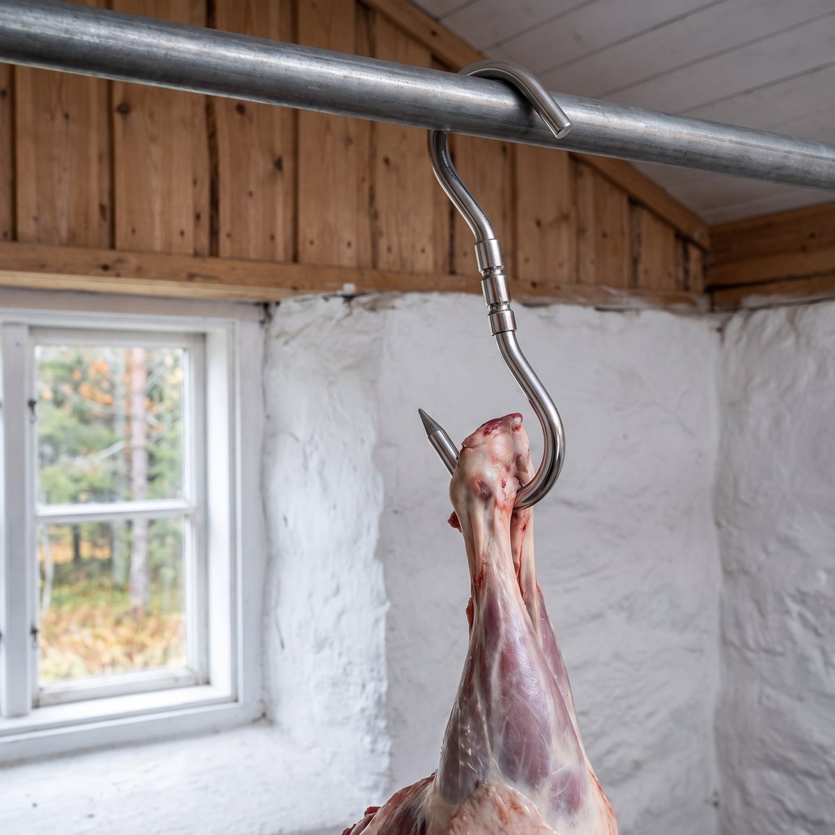 Landig Vridbar Slaktkrok med roterande led som bär ett flått älglår i en vitkalkad svensk viltbod