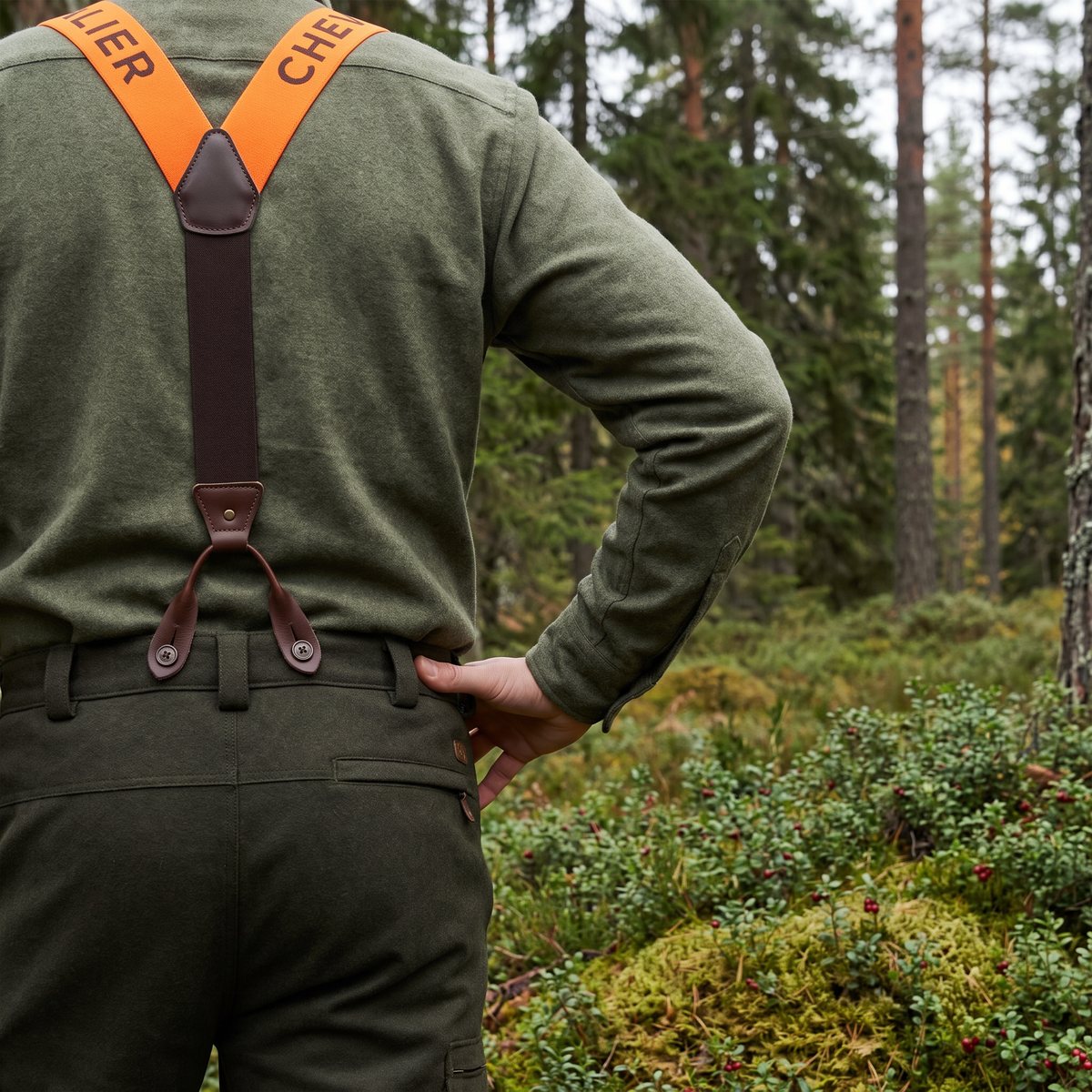 Orange och bruna hängslen med läderknappfästen på en jägares rygg, knäppta i ett par gröna jaktbyxor, i en svensk granskog med lingonris